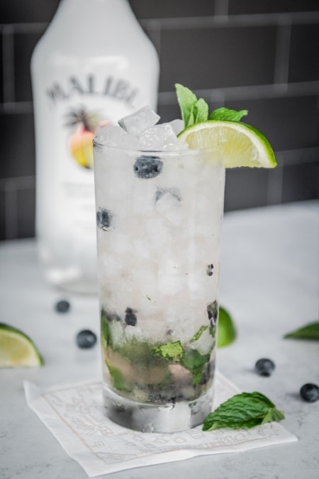 Blueberry Coconut Mojito