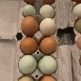 L.R Farms Eggs - 1/2 Dozen