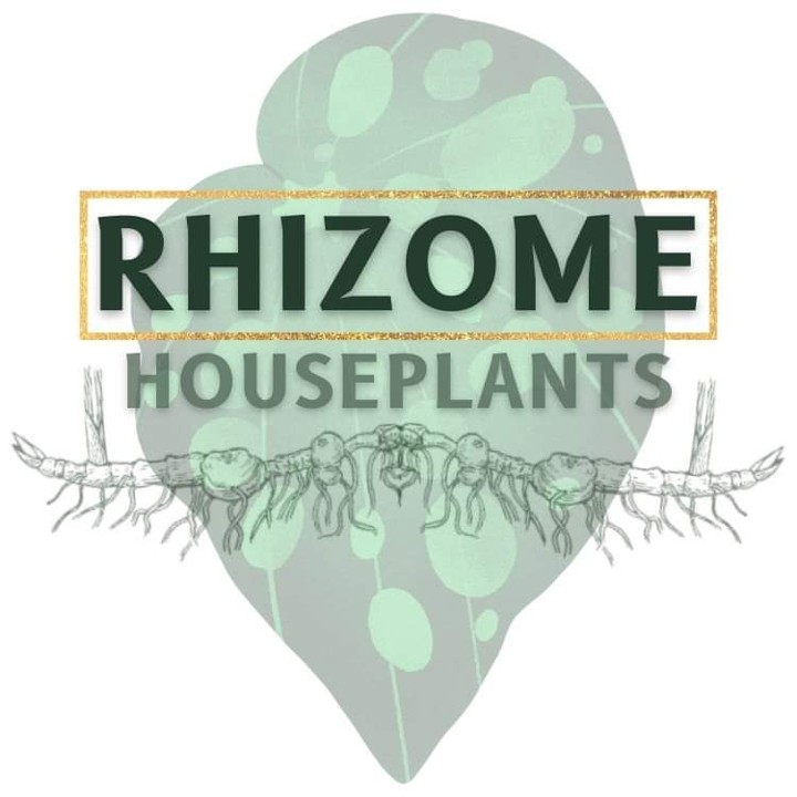 Rhizome Houseplants 4505-C US 15, Carthage, NC 28327