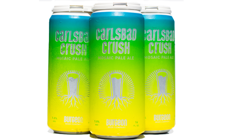 Carlsbad Crush Pale Ale 🌊
