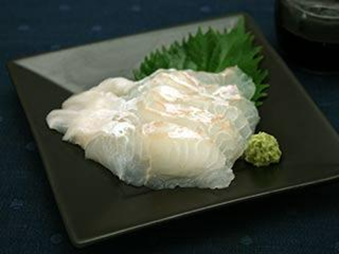 Halibut / Hirame Sashimi