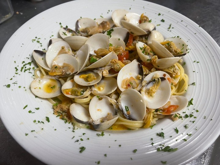 Clams in White or Red Sauce