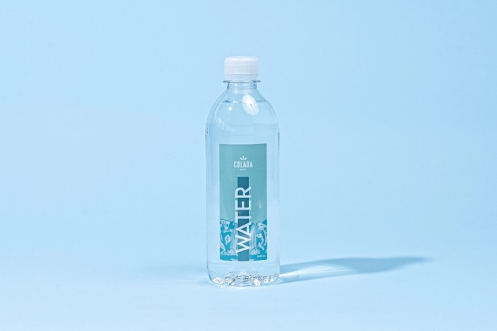 BOTTLE WATER (16.9oz)