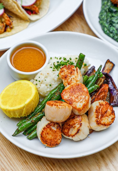 REEL DEAL 1 WITH SCALLOPS