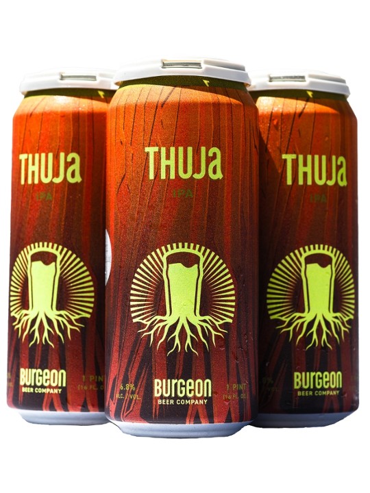 Thuja - 4 pk