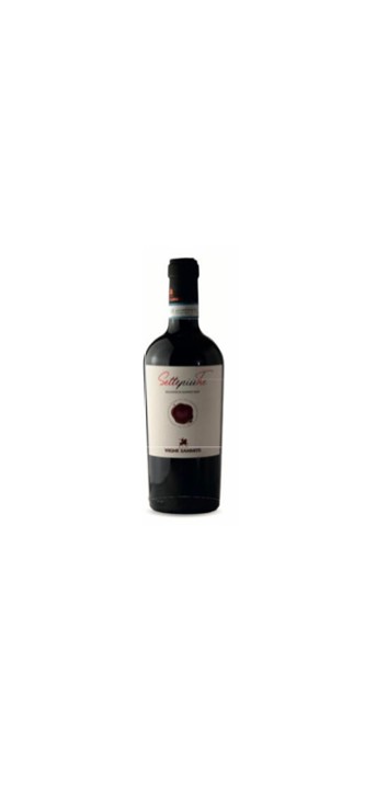 VIGNE SANNITE SETTE PIU TRE AGLIANICO DOP