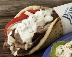 Classic Gyro Pita