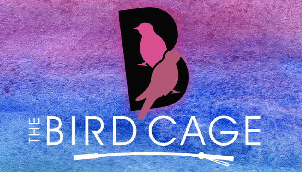The Bird Cage 5310 N Clark St