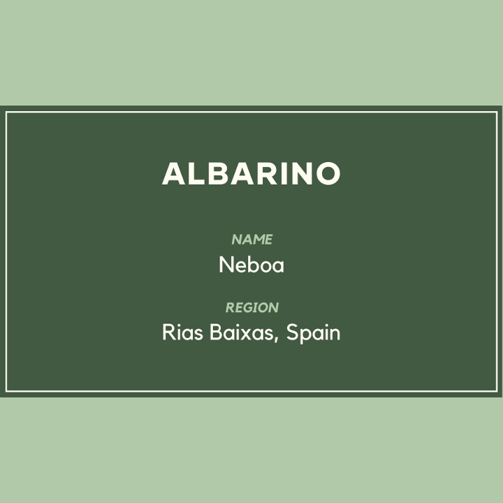 NEBOA ALBARINO DRAFT BOTTLE