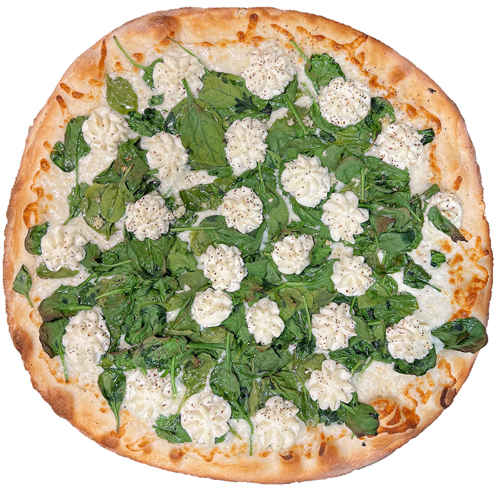 12in FLORENTINE