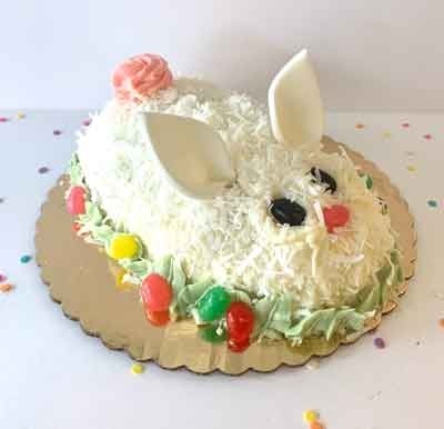 Chocolate Traditional Bunny Cake