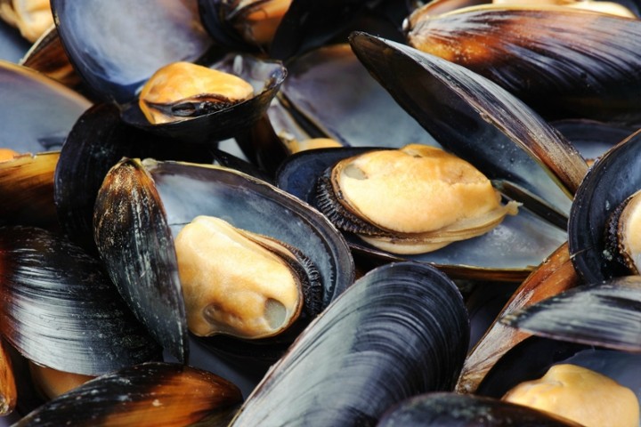 Mussels Bruschetta