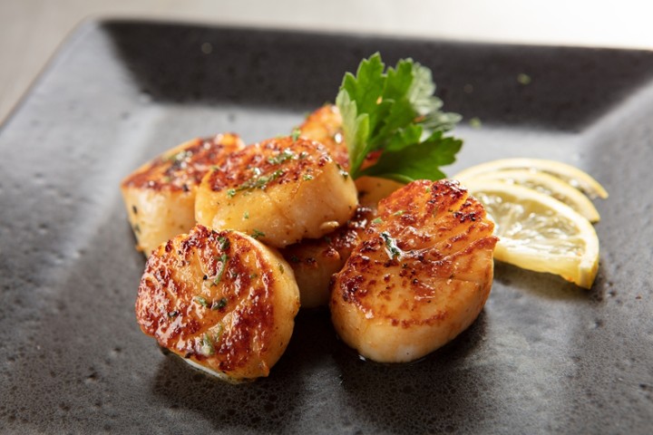 Scallops