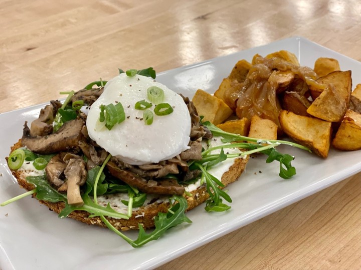 Wild Mushroom Toast