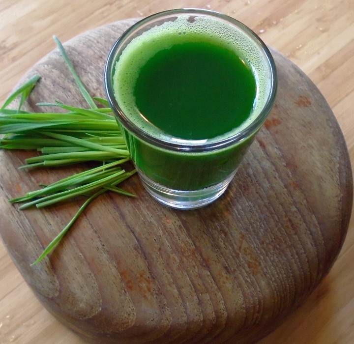 Wheatgrass Shot