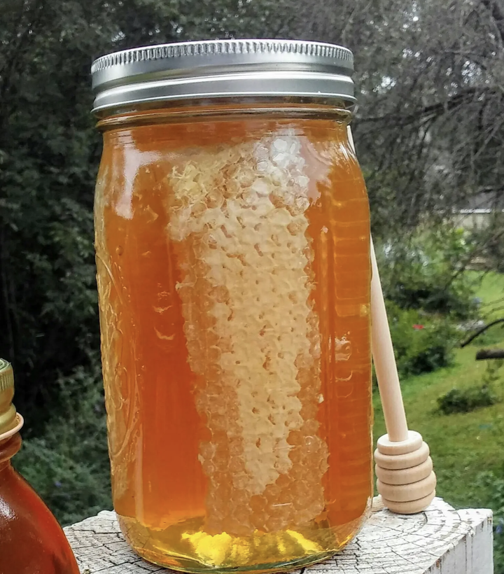 Organic Urban Honey- 1 Lb