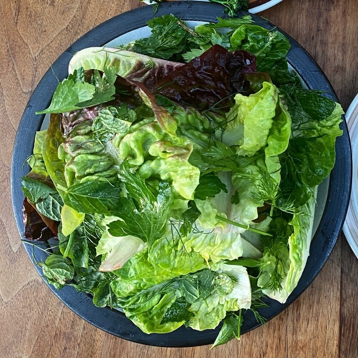 Lettuce & Mixed Herbs