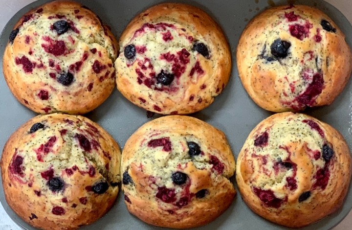 Lemon Berry Poppyseed Muffin