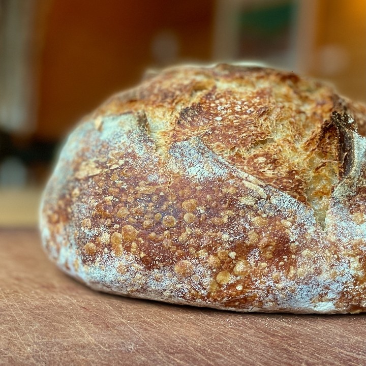 Whole Wheat Sourdough   •   1 Loaf