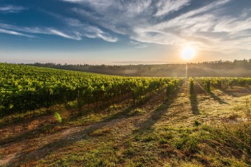 Bologna Via Cucina