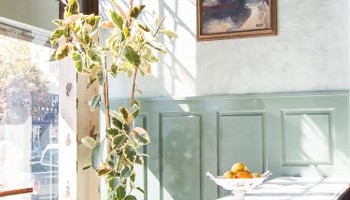 The Arroyo Club/Good Housekeeping Bar/The Hotline