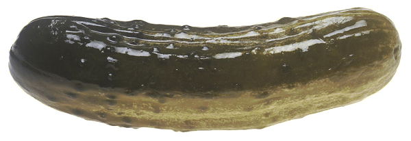 Kosher Pickle