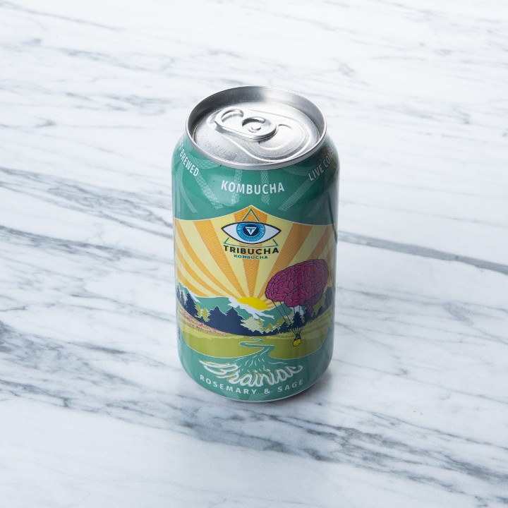 Kombucha (Canned)