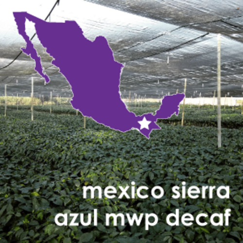 México Sierra Azul MWP FTO (Decaf)
