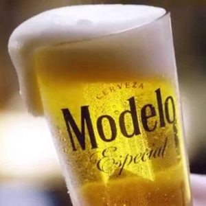 Draft Modelo