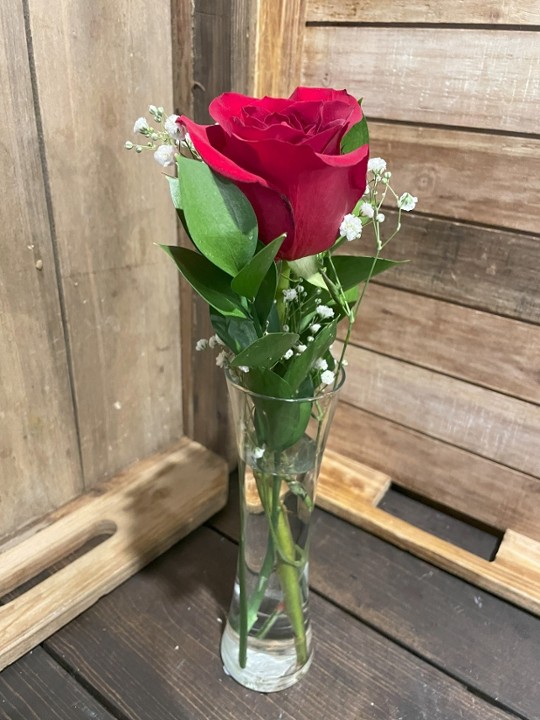 Single Rose w/ Vase