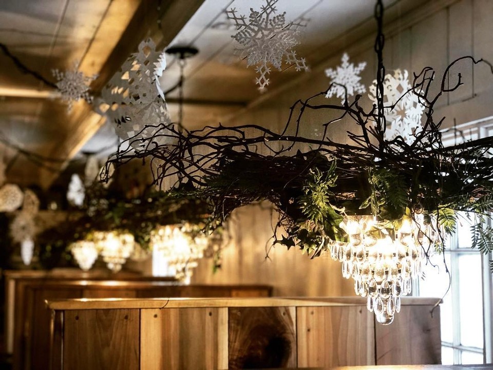 The Bird's Nest Cafe The Bird's Nest Cafe