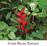 Costa Rican Tarrazu