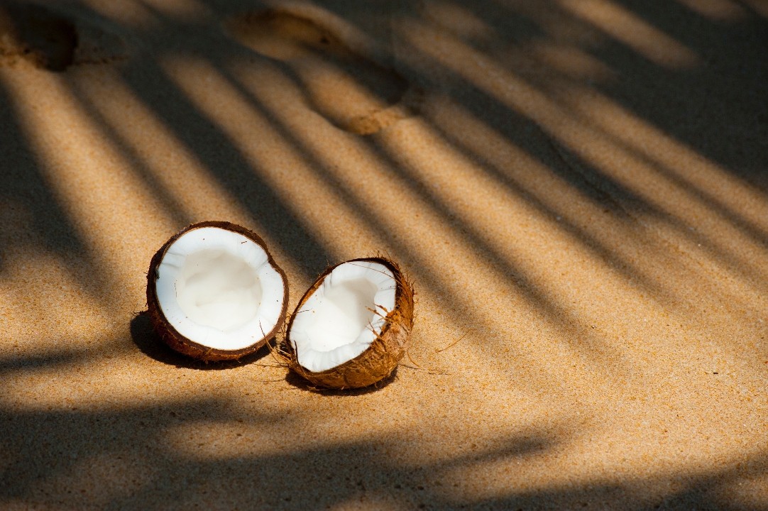 SEASIDE Coconut Latte
