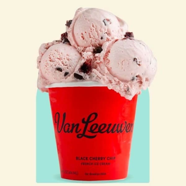 Van Leeuwen Black Cherry Chip