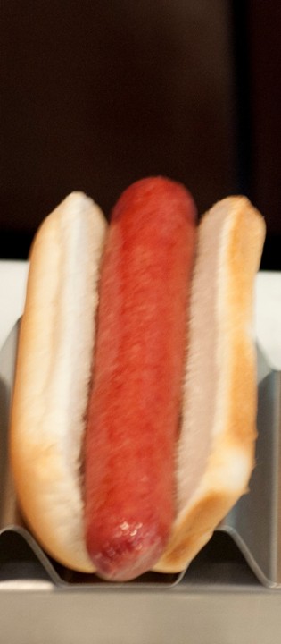 Plain Dog
