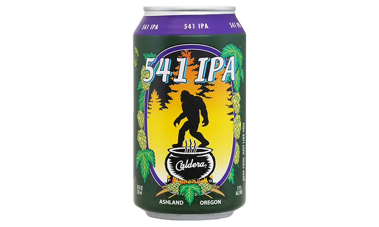 541 IPA Cans 5.9%