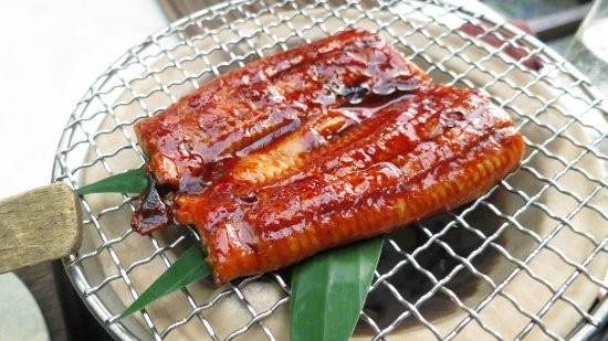 Grilled Unagi