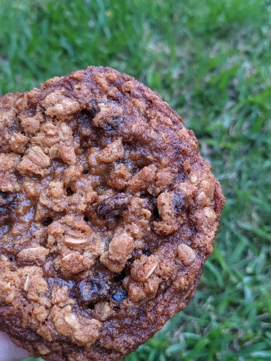 Oatmeal Raisin Cookie