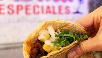 Taqueria y Cerveceria "Taco LuLú"