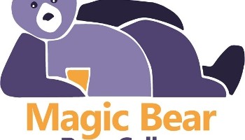 Magic Bear Beer Cellar