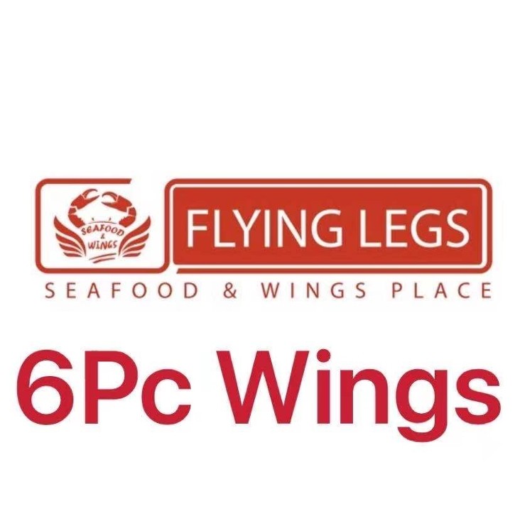 6 PCS Wings