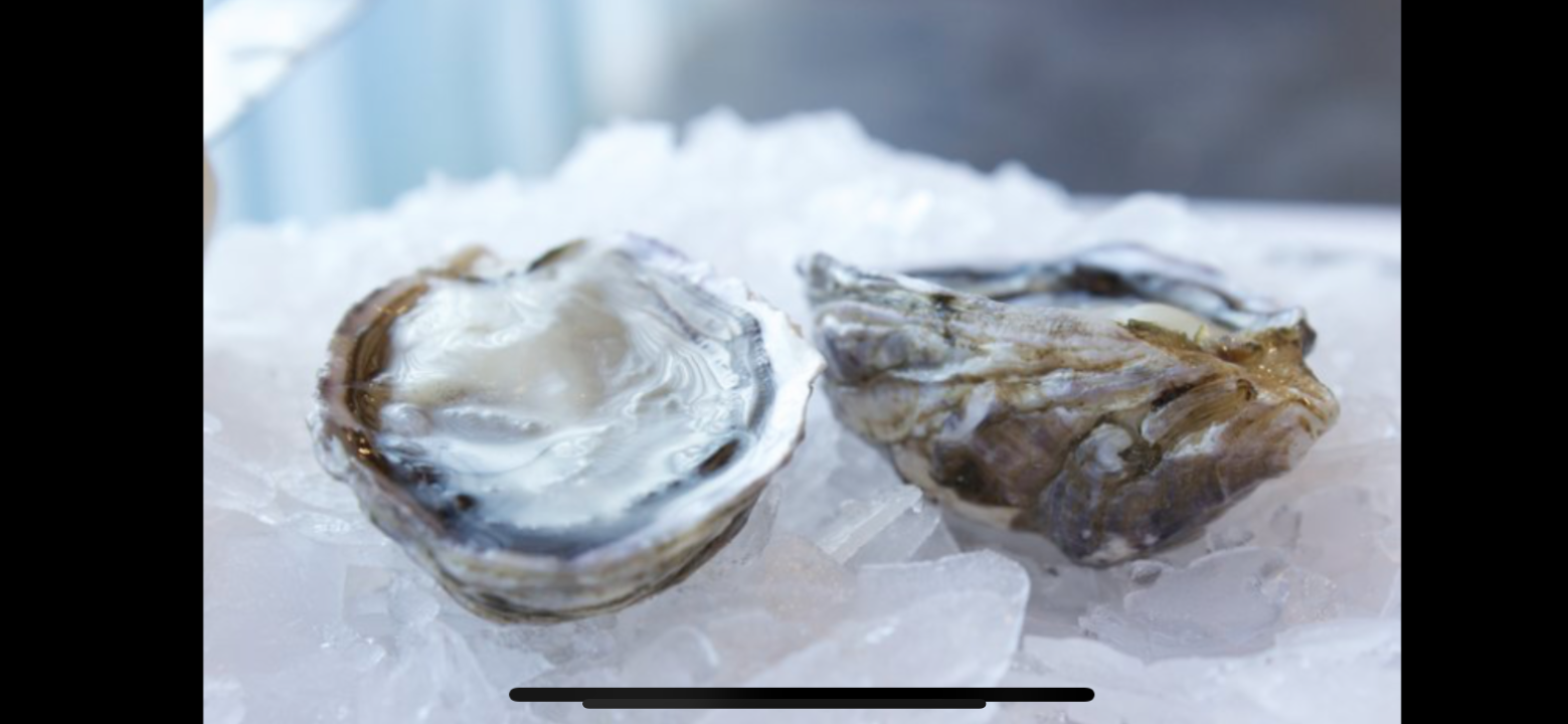 Copps Island Oysters( 6pc )