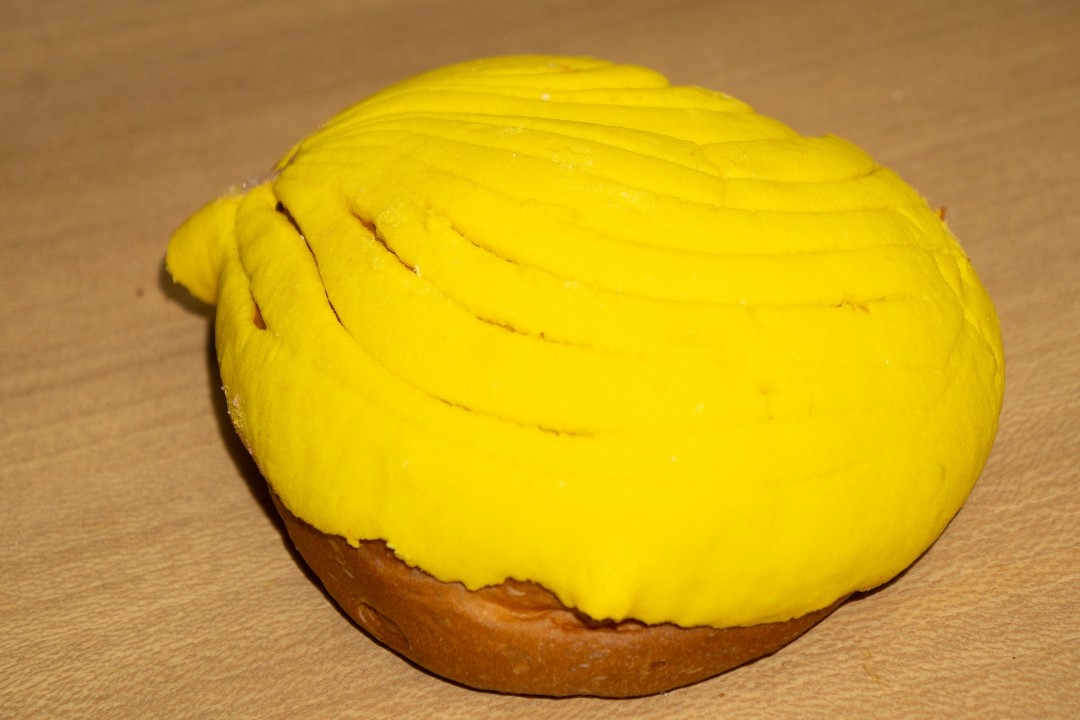 Concha Amarilla