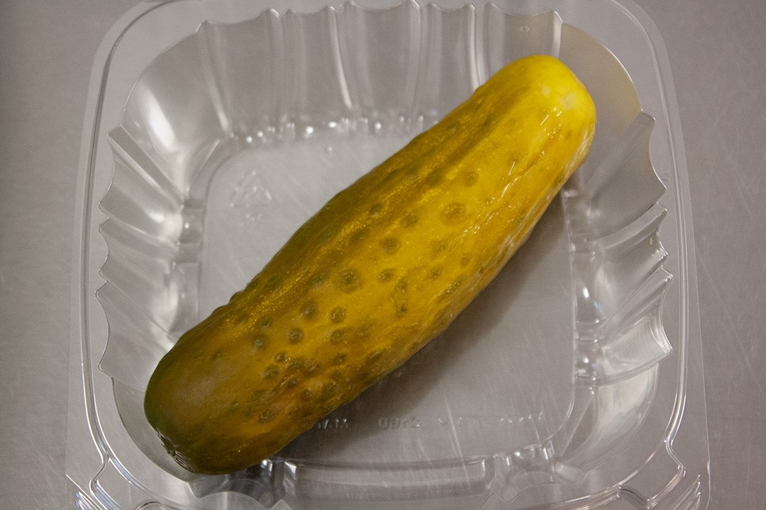 Giant Pickle