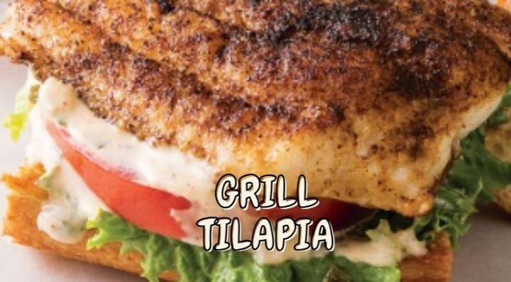 GRILL TILAPIA Sandwich