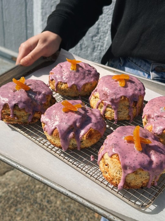 Lavender Poppyseed Apricot Scone