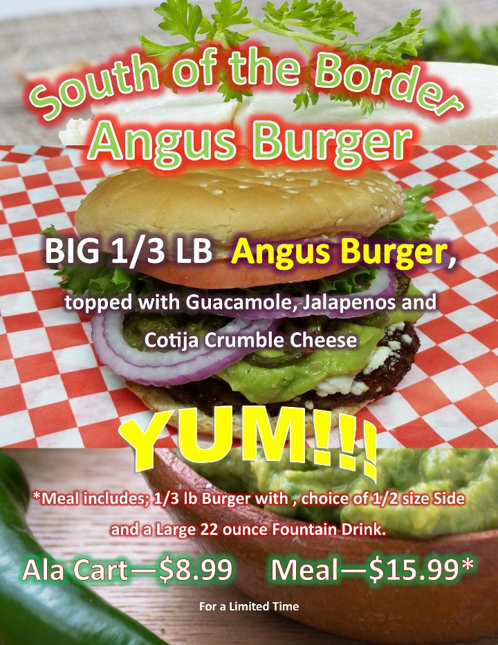 1/3 LB Angus SOUTH OF THE BORDER Burger Ala Carte