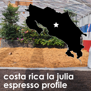 Costa Rica la Julia SO Espresso - 12 oz. Pouch