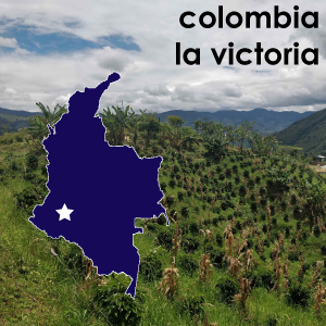 Colombia la Victoria (Medium Roast) - 12 oz. Pouch