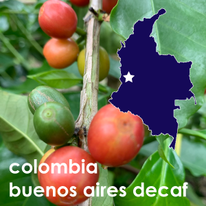 Colombia Buenos Aires Decaf - 12 oz. Pouch